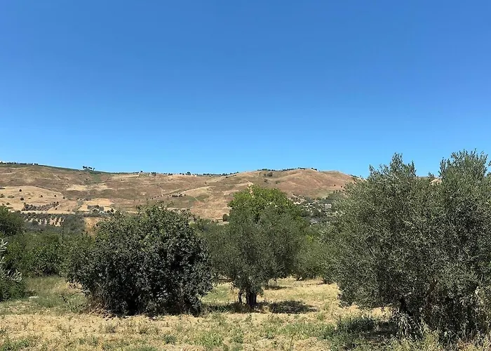 Σπίτι διακοπών A Casa Di Alice Scafa